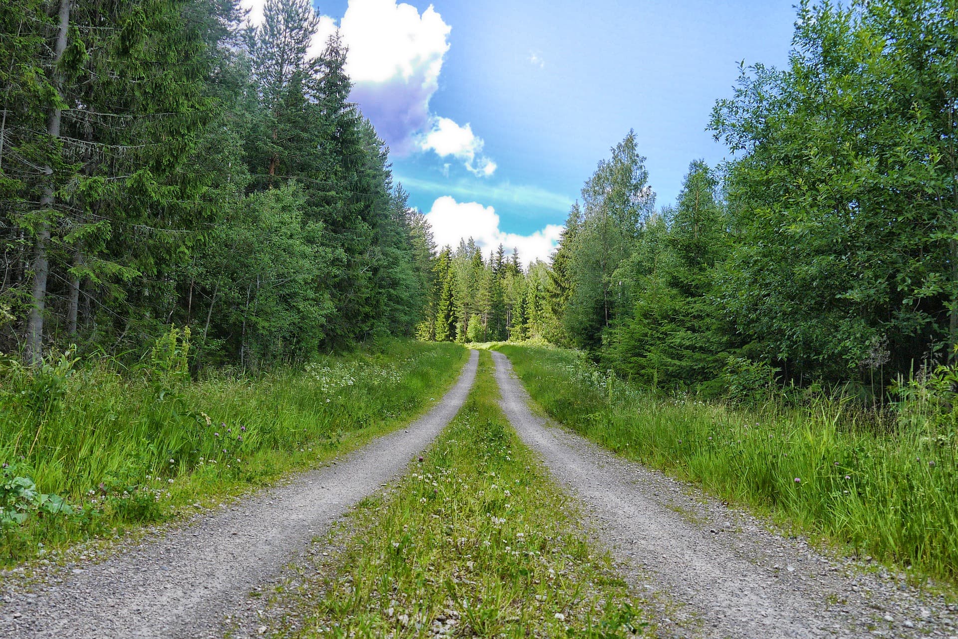 Åmot Utmarksråd