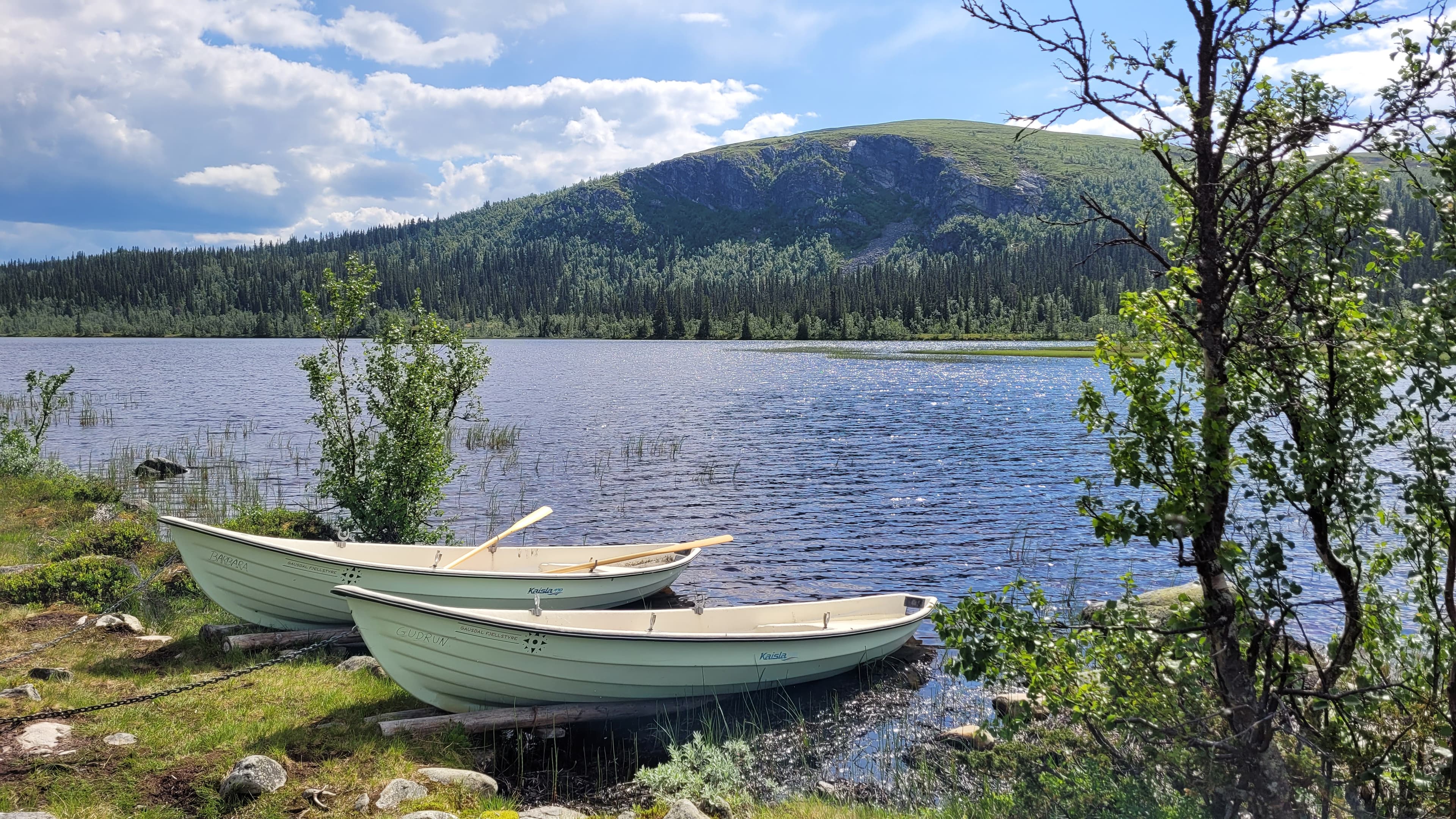 Fjellstyrenes nye inntektskilder